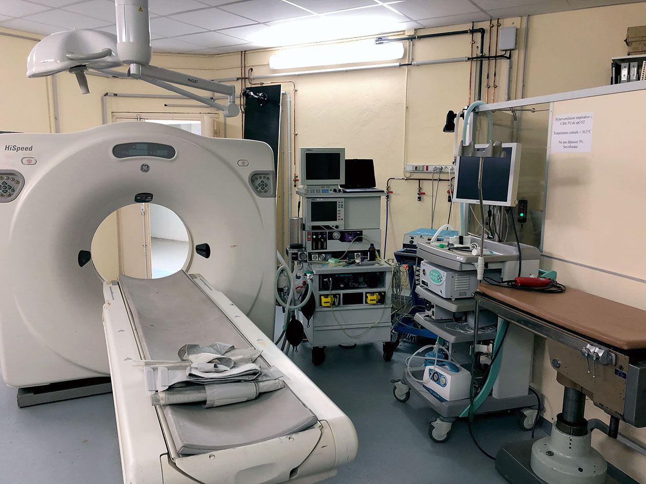 <hr>Scanner X pour l’évaluation de la distribution des masses graisseuses chez l’animal moyen. © INRAE.