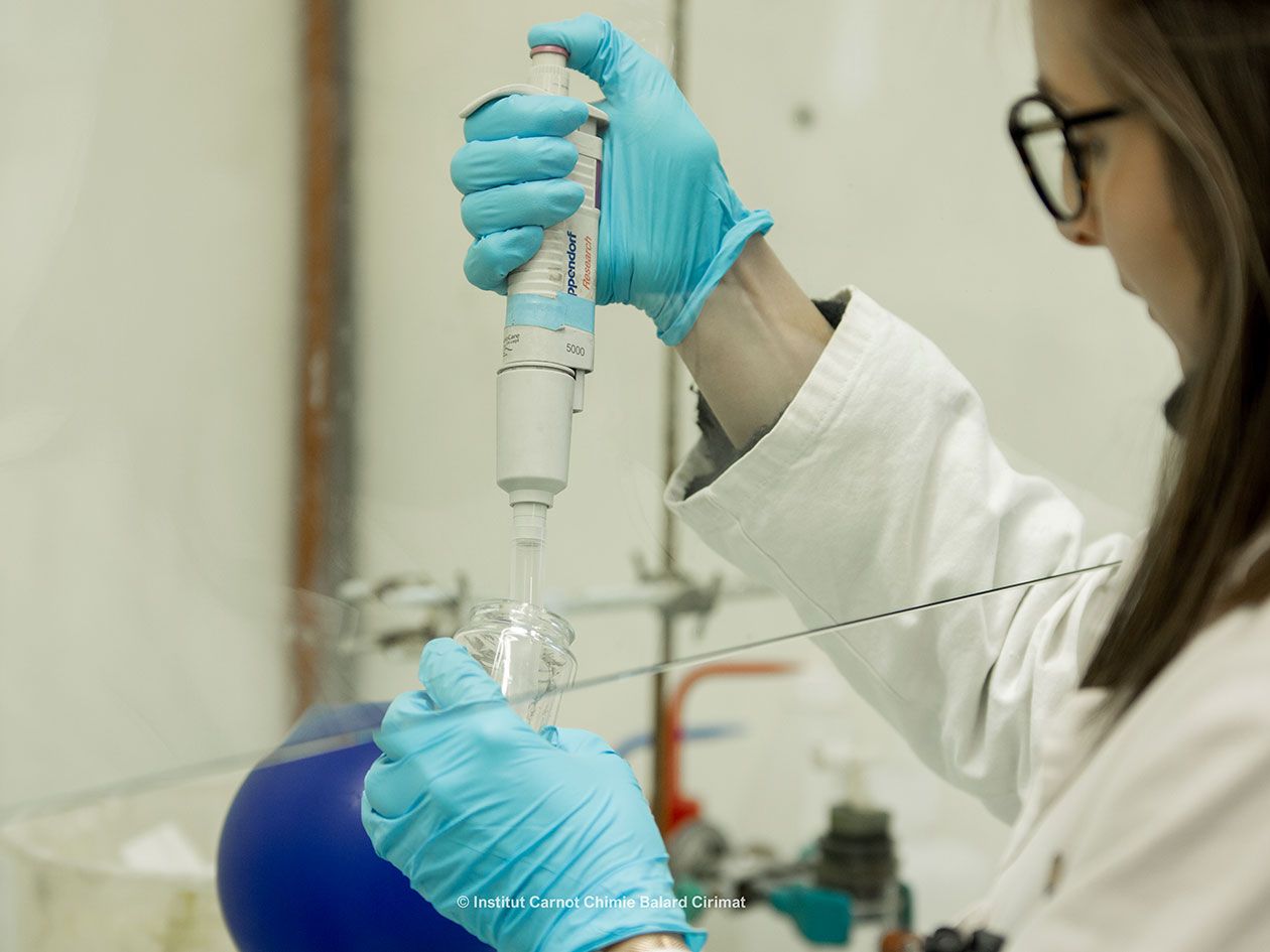 <hr>Synthèse de biomolécules.