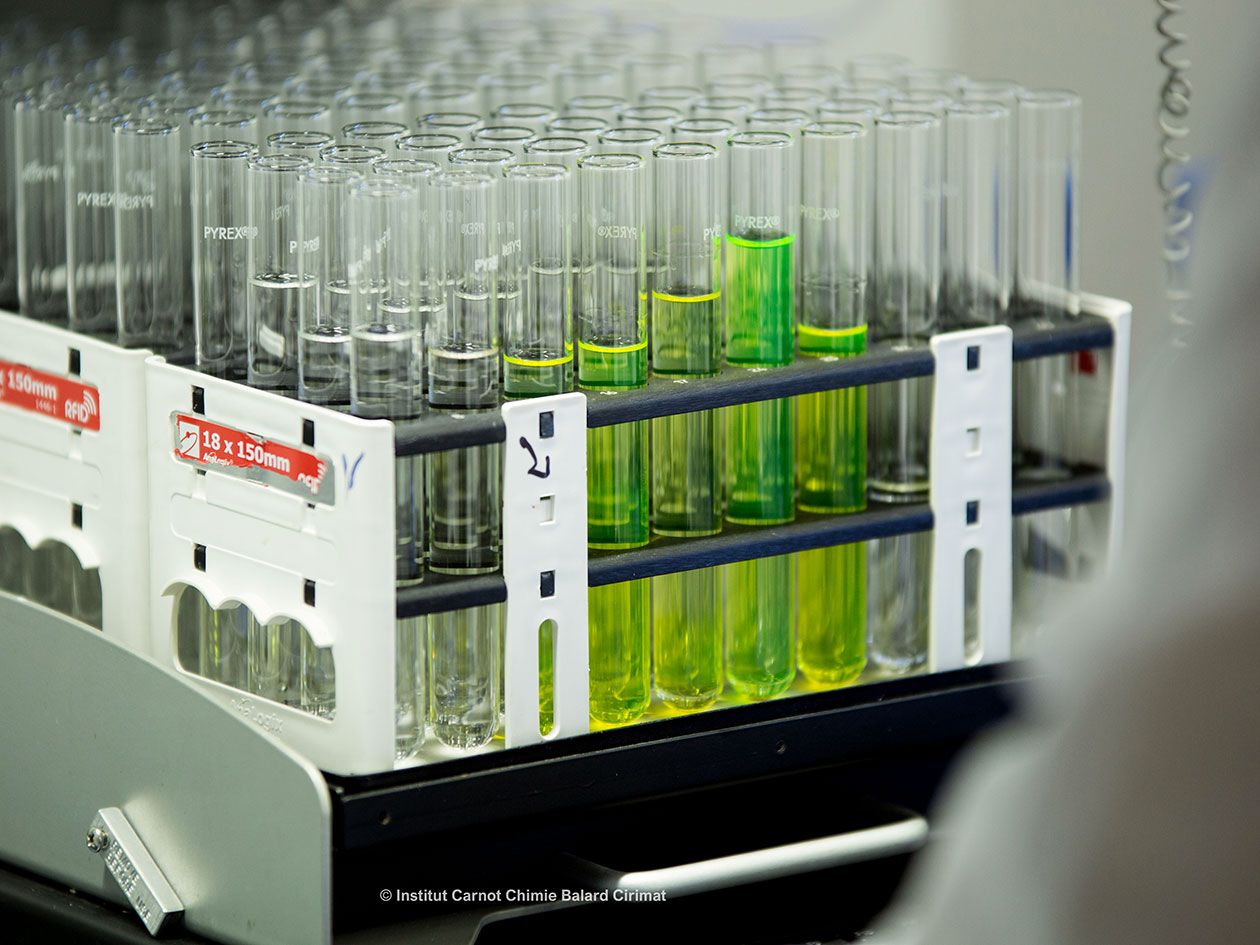 <hr>Purification de molécules fluorescentes.