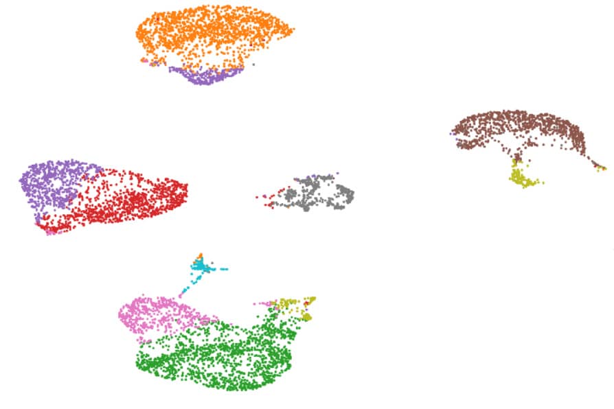 <hr>Analyse de la différenciation de cellules souches pluripotentes induites humaines en progéniteurs pancréatiques par 3’RNA-Seq sur cellules uniques.