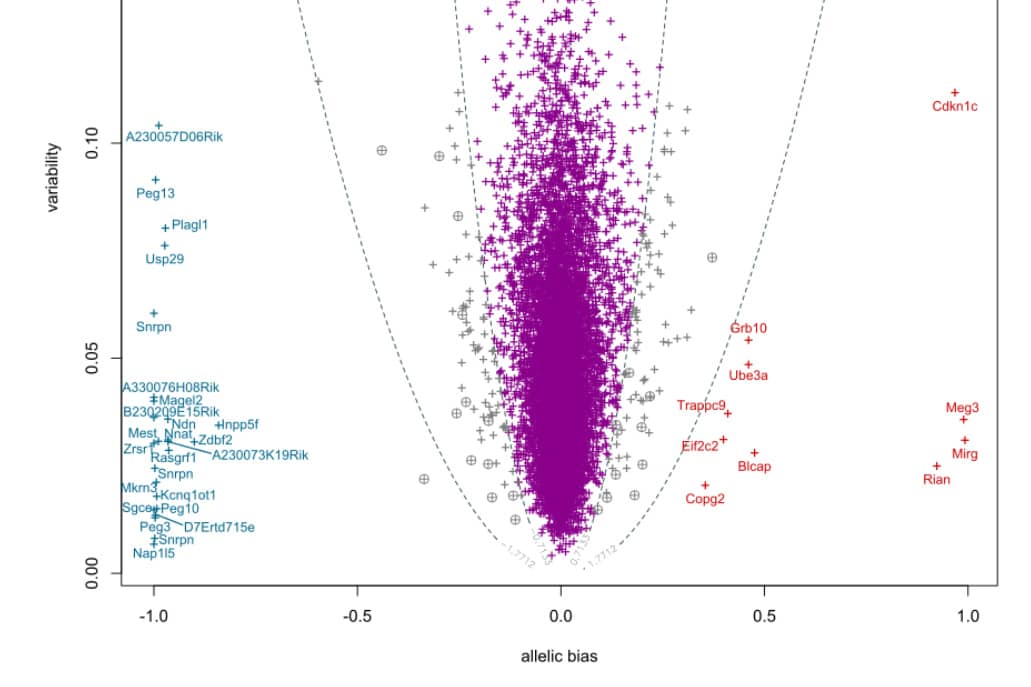 <hr>Sortie graphique du package ISoLDE permettant de réaliser de la transcriptomique allélique.