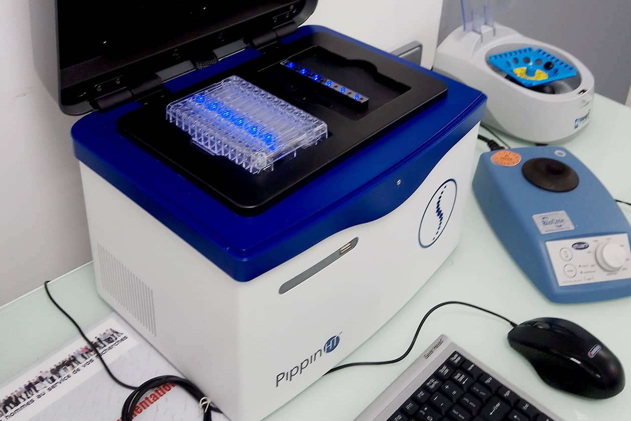<hr>Pippin HT utilisé pour purifier différentes espèces de petits ARNs non codants avant la construction de banques RNA-Seq.
