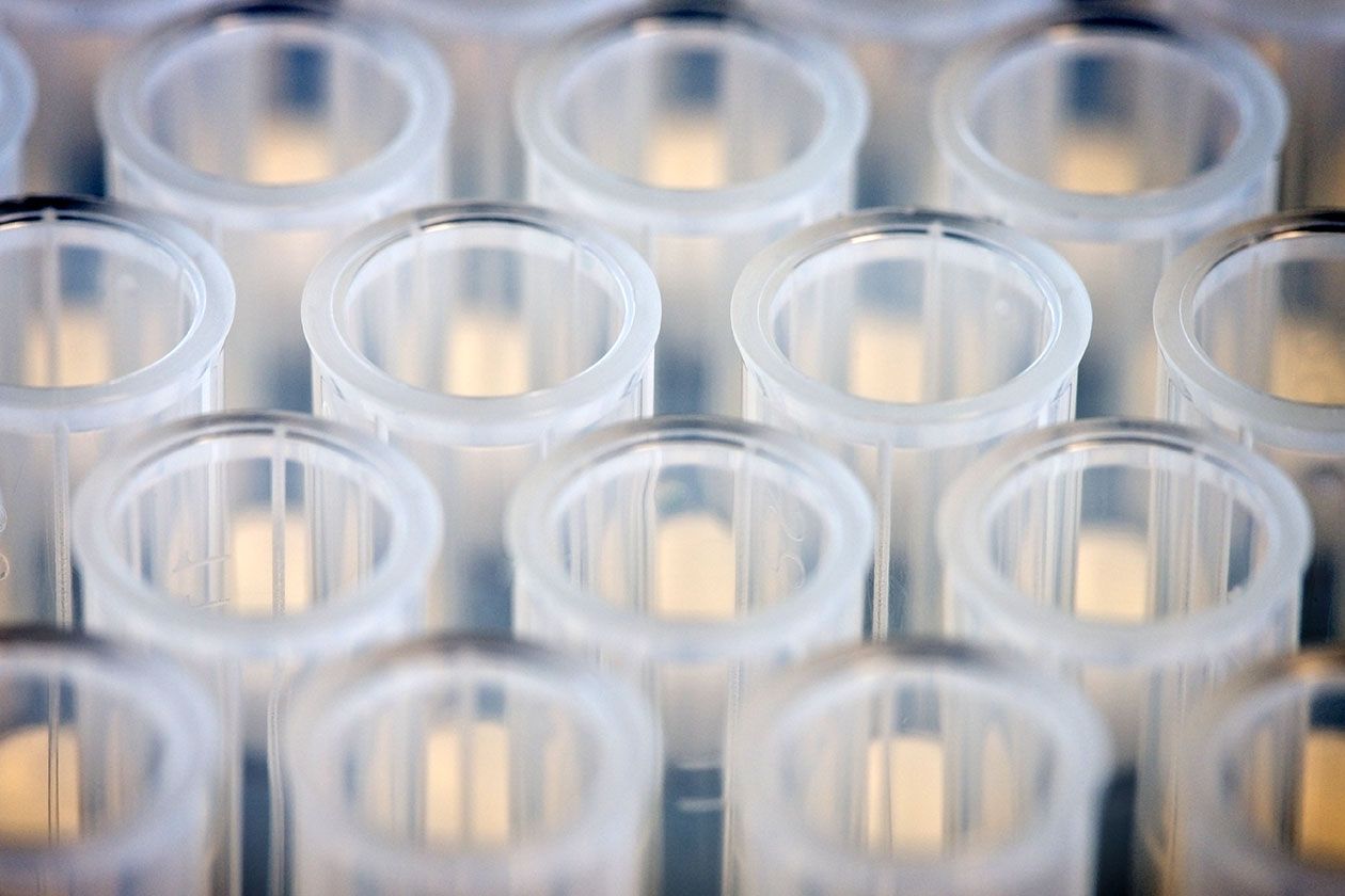 <hr>Pointes à filtre RNase free 1000 µl.