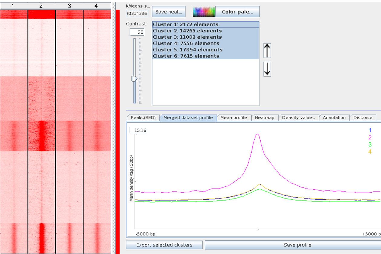 <hr>Carte de chaleur et profils moyens montrant l’enrichissement en lectures dans des régions génomiques d’intérêt pour des données de ChIP-Seq.