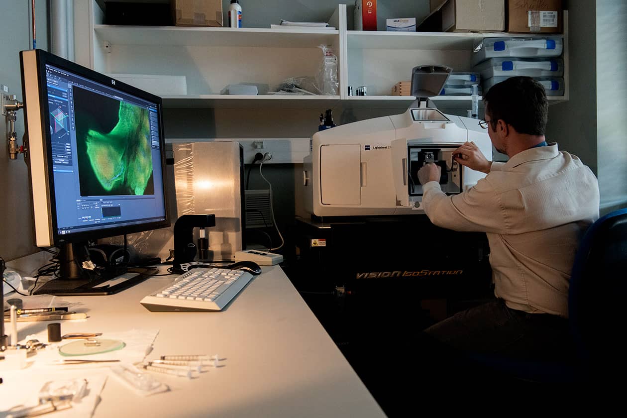 <hr>Microscope à feuille de lumière à géométrie orthogonale Lightsheet Z.1 (Zeiss).