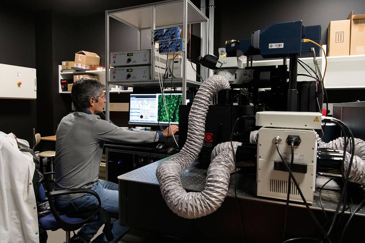 <hr>Microscope biphoton Ultima (Bruker).