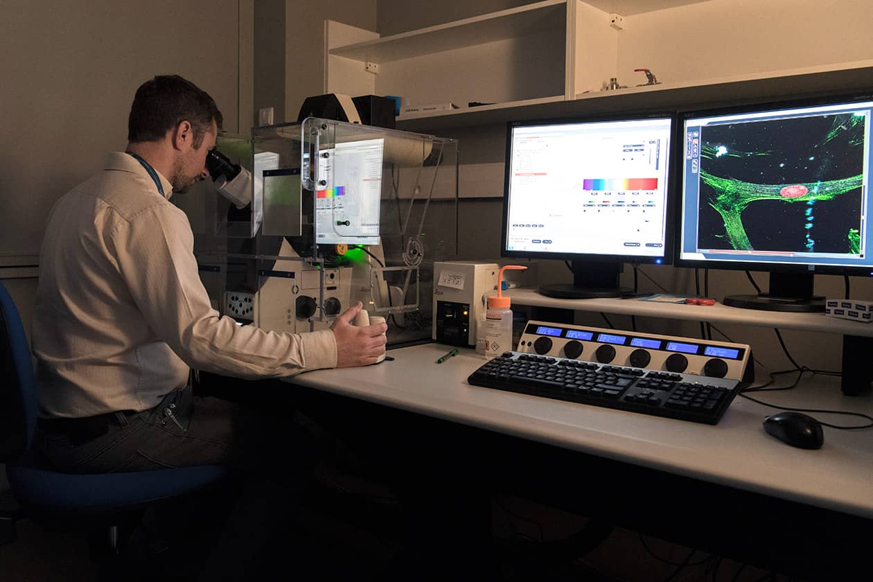 <hr>Microscope confocal SP5 (Leica).