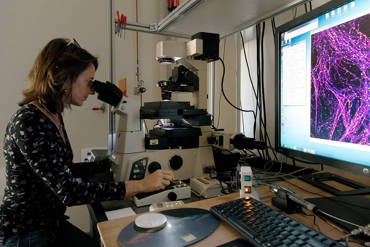 <hr>Microscope de super-résolution PALM/STORM (Nikon).