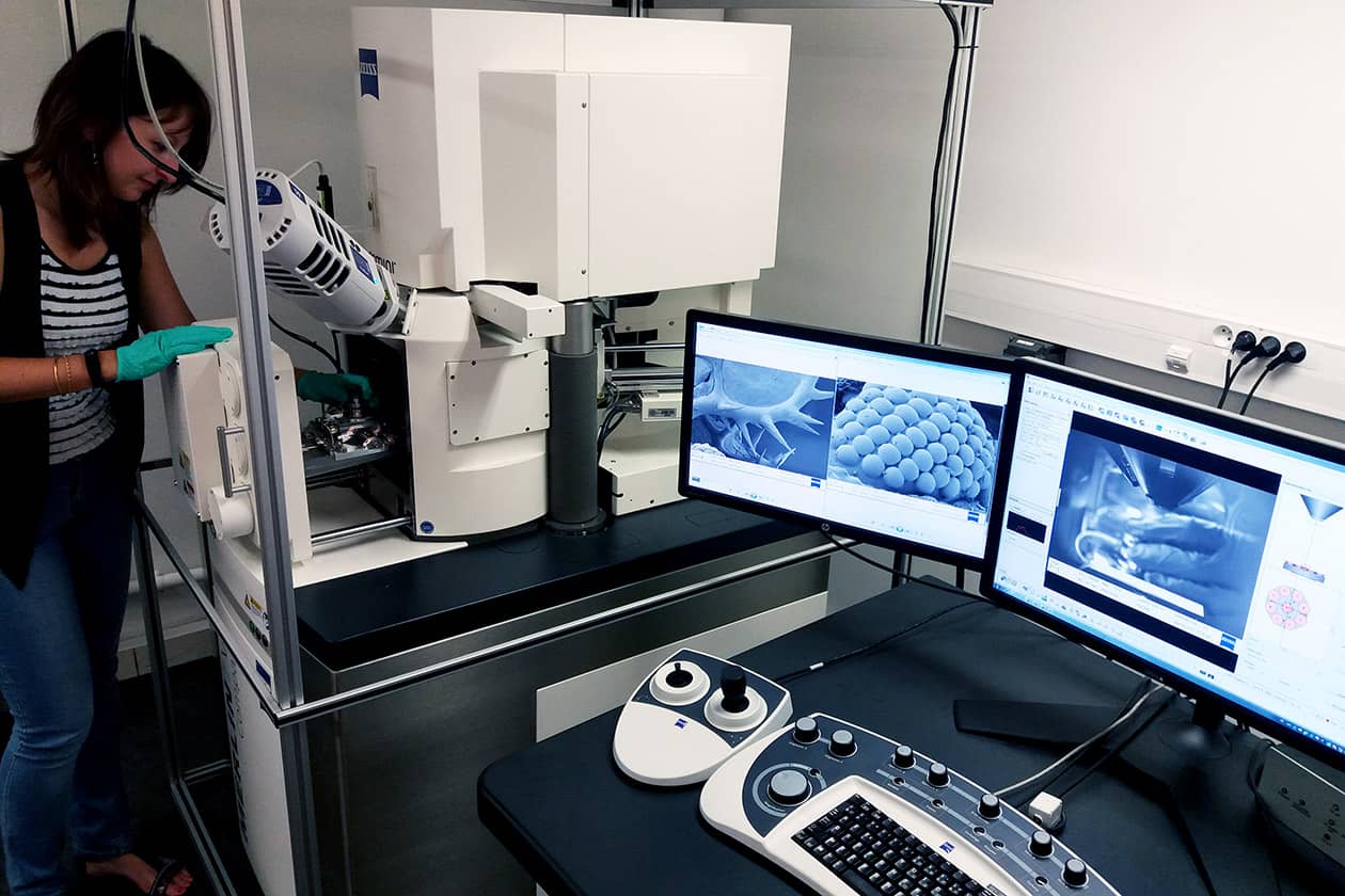 <hr>Microscope électronique à balayage Merlin Compact (Zeiss).