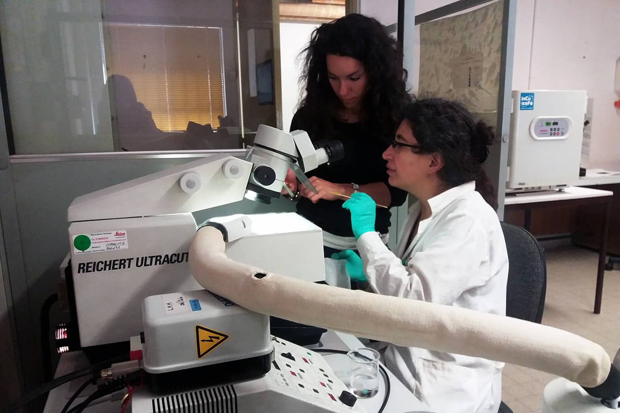 <hr>Cryo-ultramicrotome UC7 (Leica).
