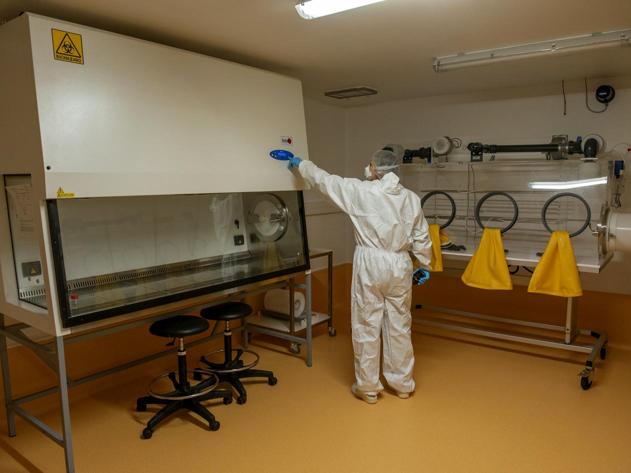 <hr>Salle d'hébergement avec isolateur en confinement de niveau 3 au sein de l'animalerie de rongeurs SOPF.
