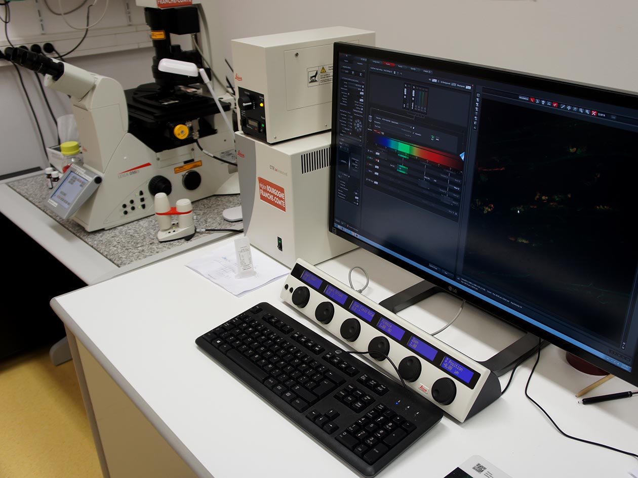 <hr>Microscope confocal Leica SP8.