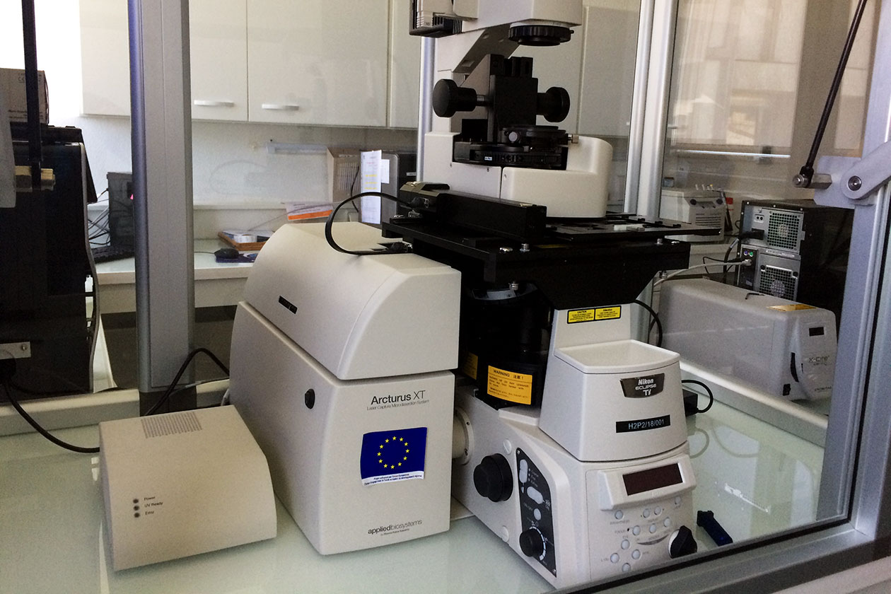 <hr>Les microdissecteurs par capture laser Arcturus Veritas et XT permettent de préserver les ARNs lors de la capture des cellules.