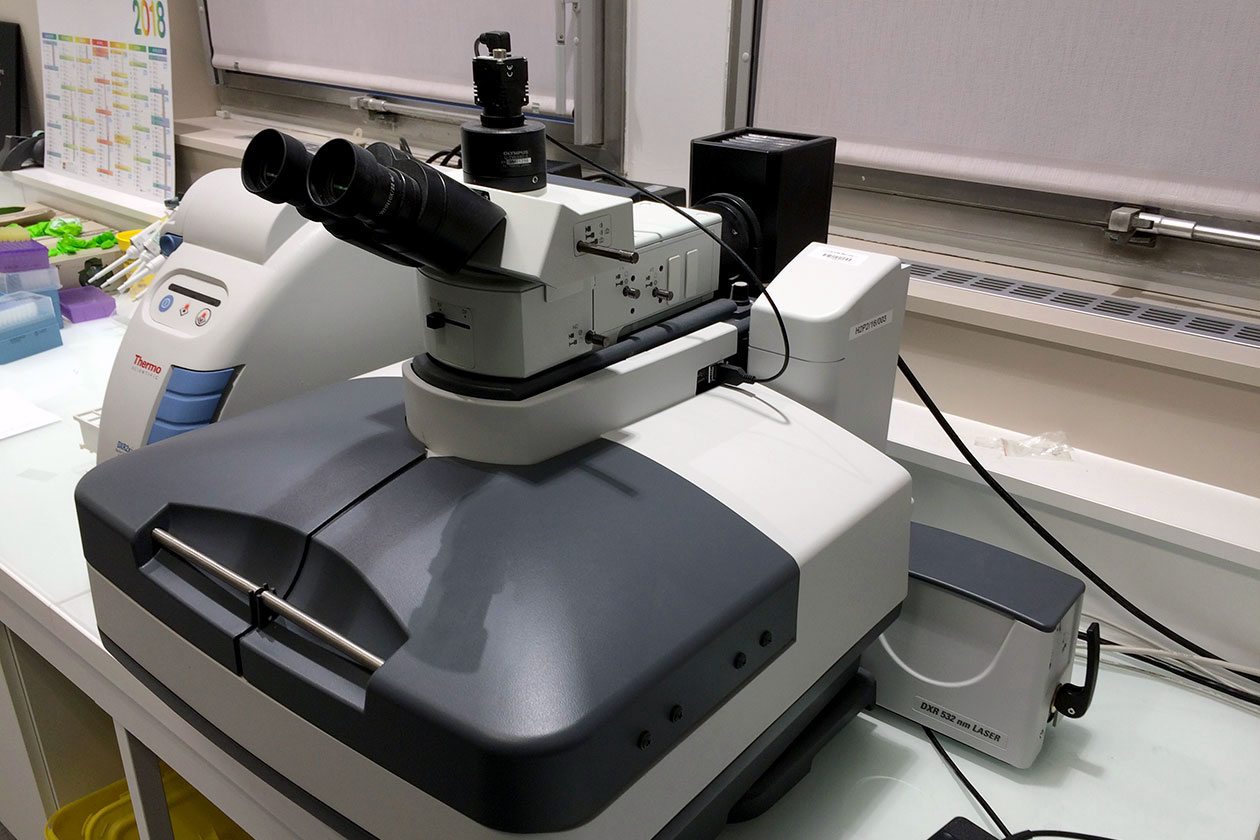 <hr>Microspectromètre Raman DXR2xi pour caractériser la signature spectrale de coupes de tissus, cultures cellulaires et bactéries.