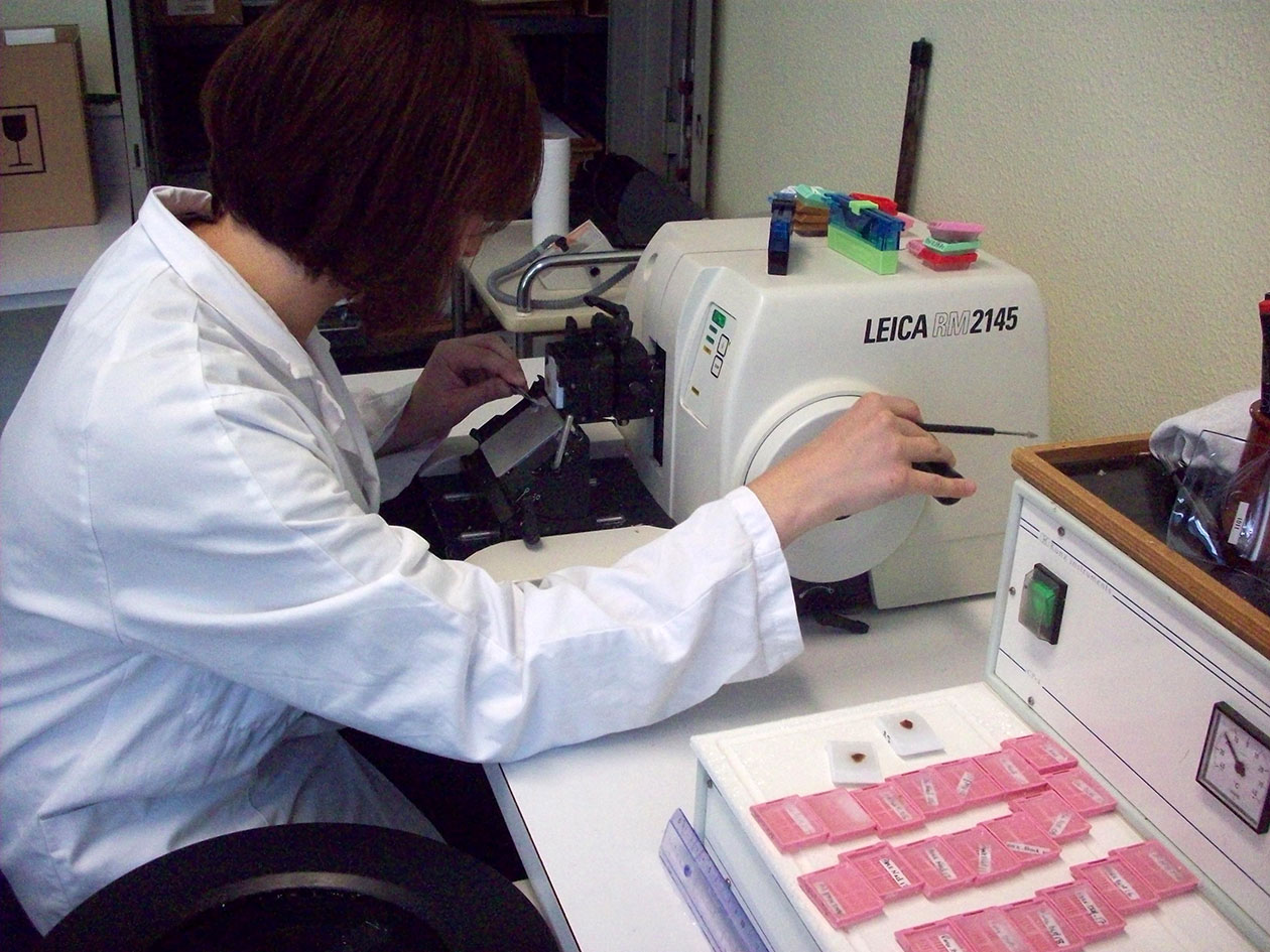 <hr>Equipement pour la réalisation de coupes de 3 à 4 µm d’épaisseur.