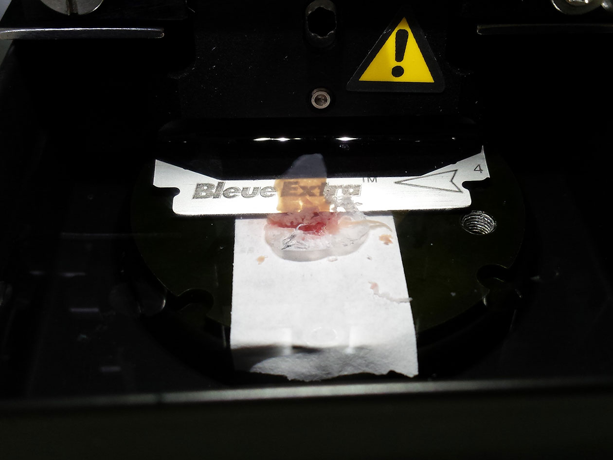 <hr>Le vibratome permet de réaliser sur du tissus frais des tranches de 100 à 500 µm d’épaisseur pouvant ensuite être maintenues en culture.