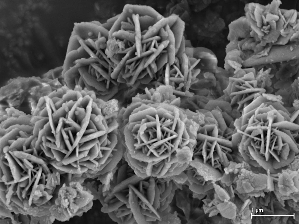 <hr>Microcristaux en « roses de sable » observés au MEB.