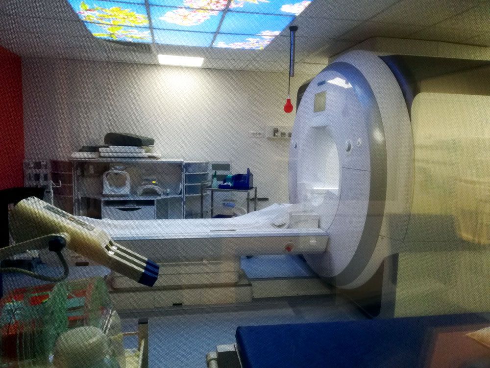 <hr>IRM 3T Prisma Siemens.