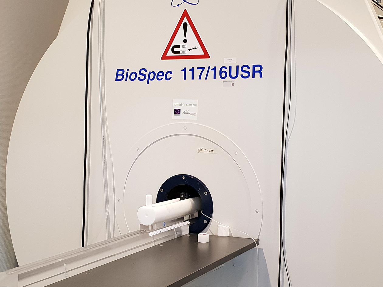 <hr>IRM 11.7T, appareil à très haut champ parfaitement adapté à l’imagerie et la spectroscopie in vivo chez le petit animal.