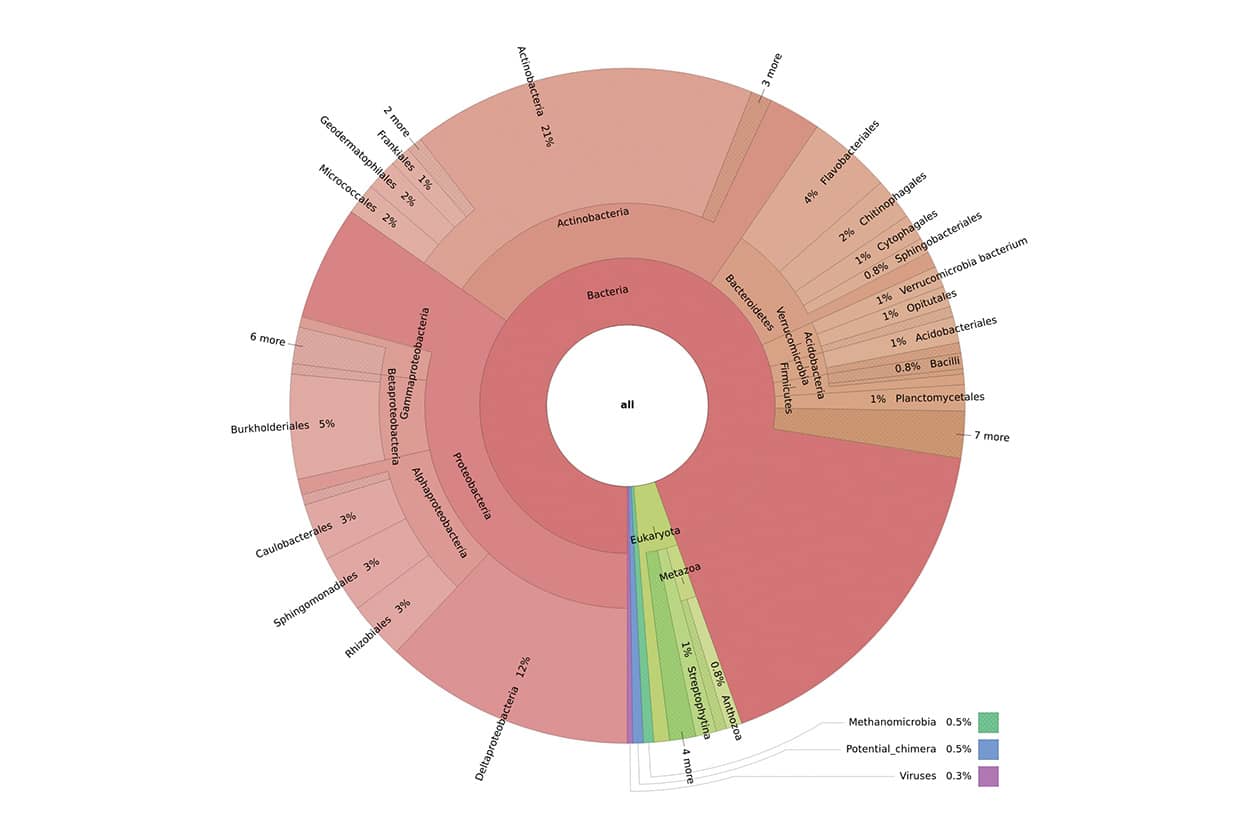 <hr>Représentation krona du contenu taxonomique d’un échantillon biologique.