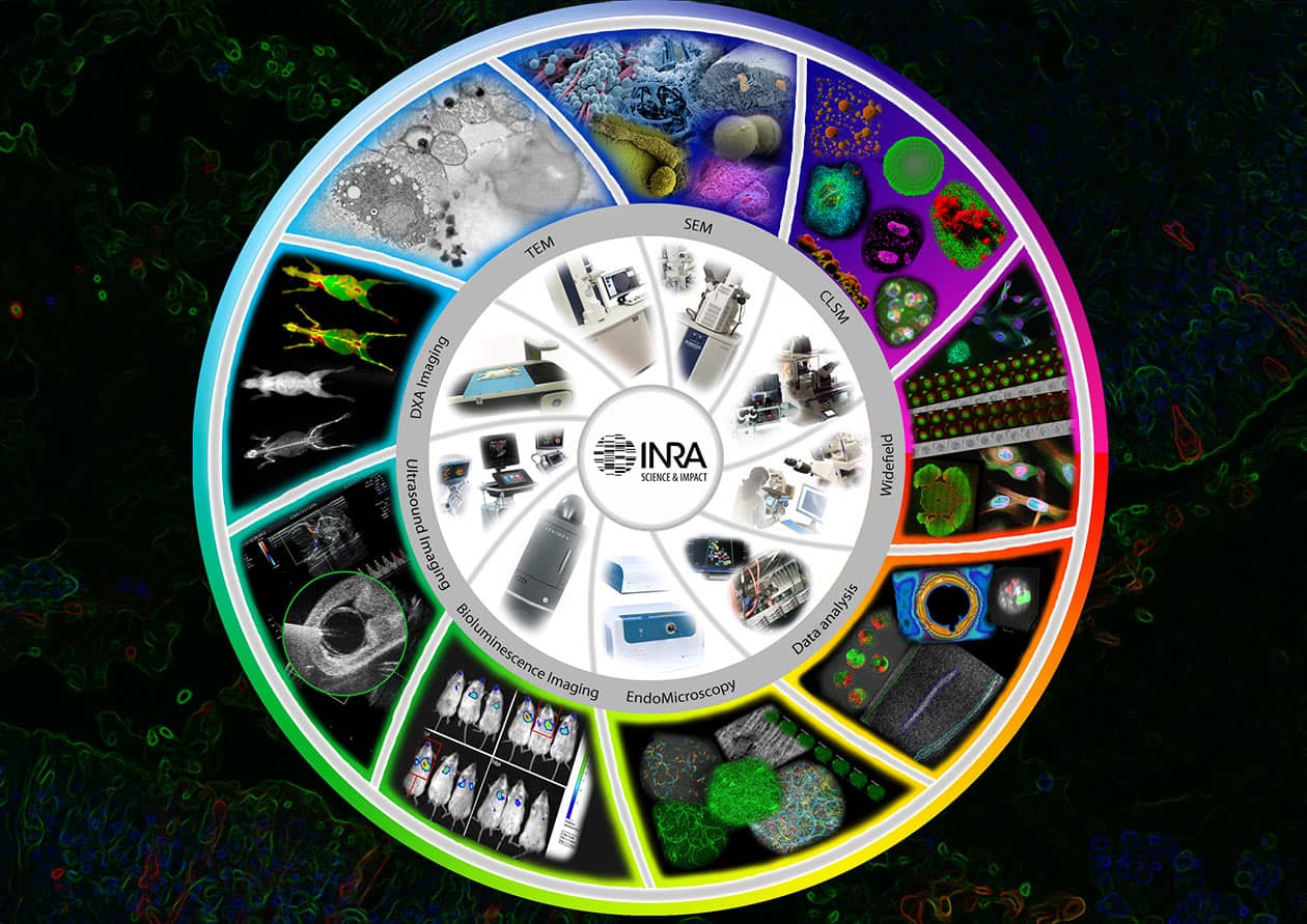 <hr>Diaphragme de présentation des plateaux technologiques de la plateforme MIMA2 © T. Meylheuc, MIMA2.