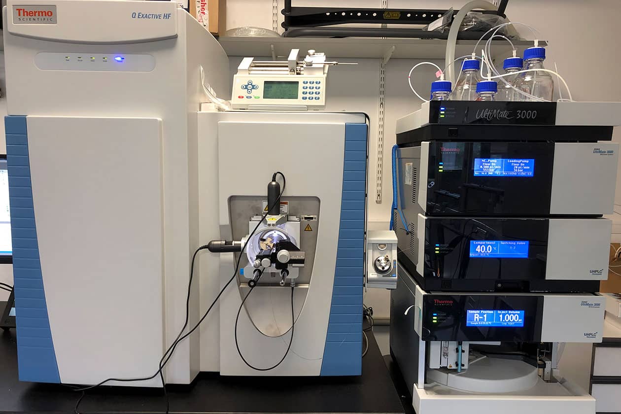 <hr>Spectromètre de masse haute résolution Q Exactive HF couplé à une nanoRSLC (Thermo Scientific).