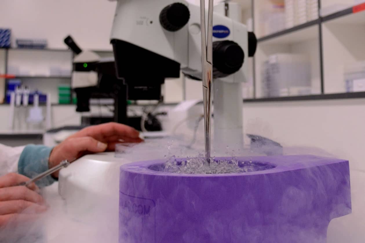 <hr>Congélation de cristaux dans de l’azote liquide.
