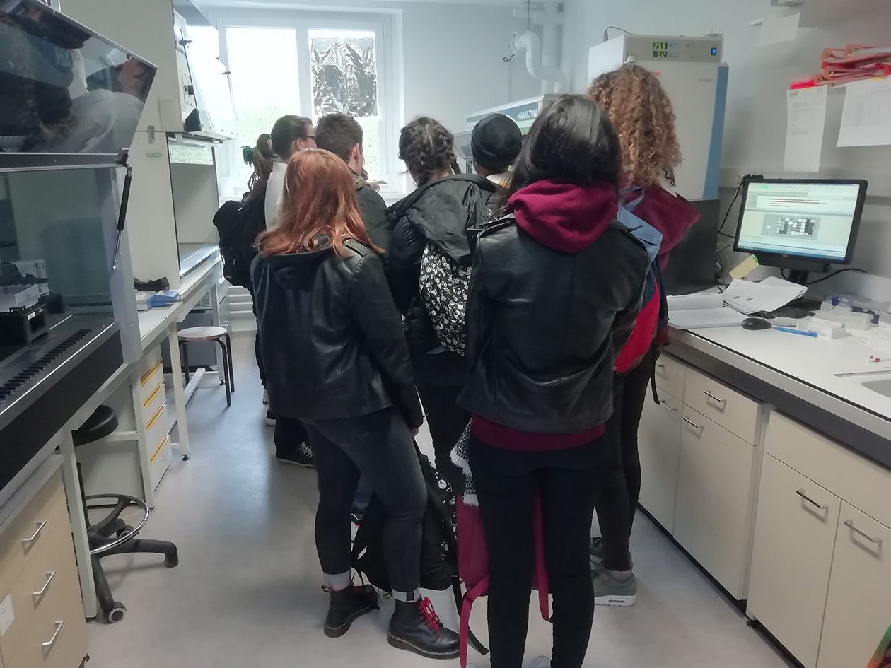 <hr>Groupe d’étudiants visitant la plateforme.