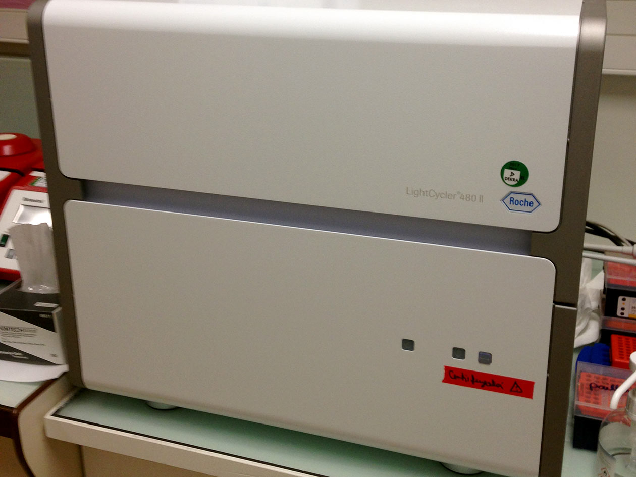 <hr>qPCR Light Cycler pour détection ciblée.