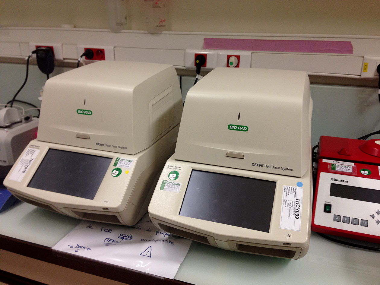 <hr>Plateforme de PCR pour la détection.