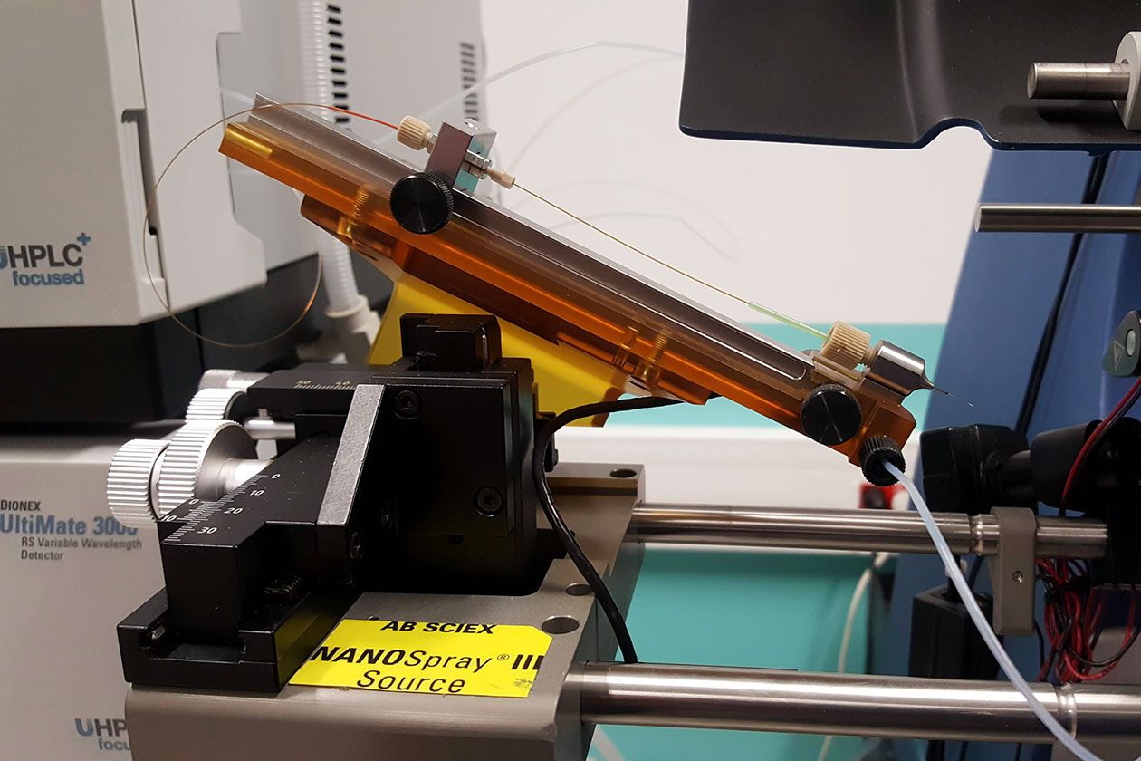 <hr>Source du nanoelectrospray TripleTOF 4600 (Sciex).