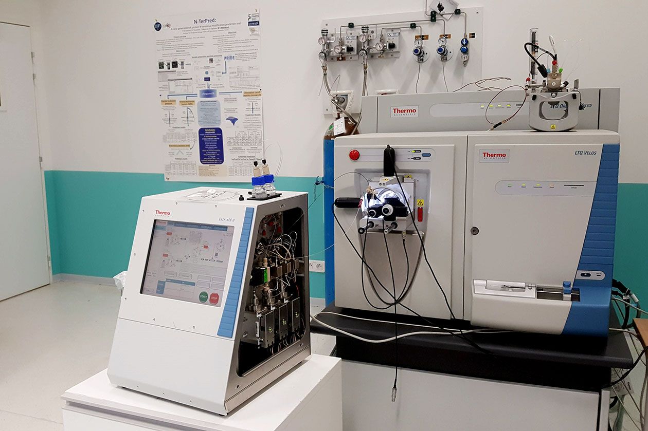 <hr>Source du nanoelectrospray LTQ-Orbitrap Velos (Thermo Fisher).