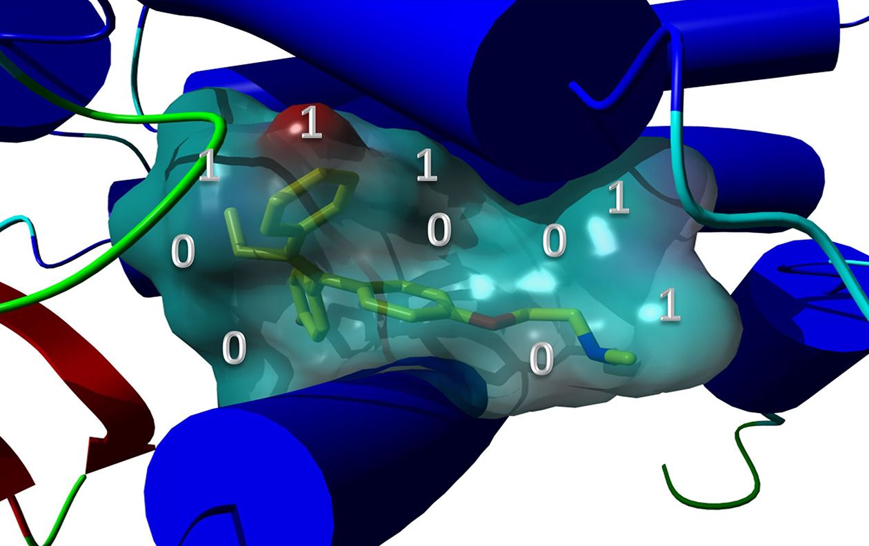 <hr>Cavité droguable (vert translucide) à la surface d'une protéine cible (bleu). Son encodage numérique (suite de 0 et 1) permet de positionner une petite molécule (vert clair) issue d'une chimiothèque électronique.