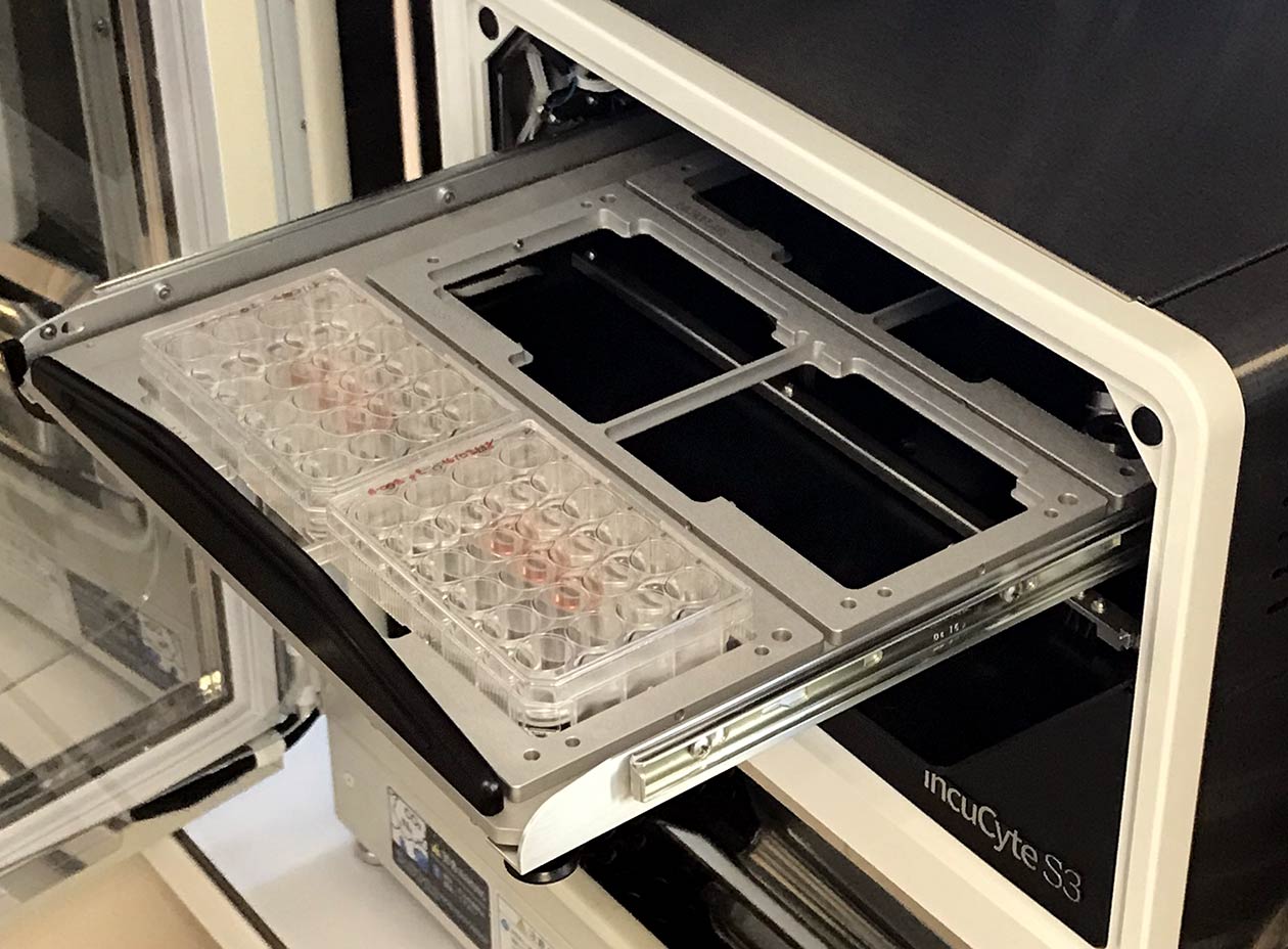 <hr>Appareil IncuCyte S3 permettant l’étude de 6 plaques 96 puits ou d’autres formats tels que les flacons de culture de 25 ou 75 cm2.