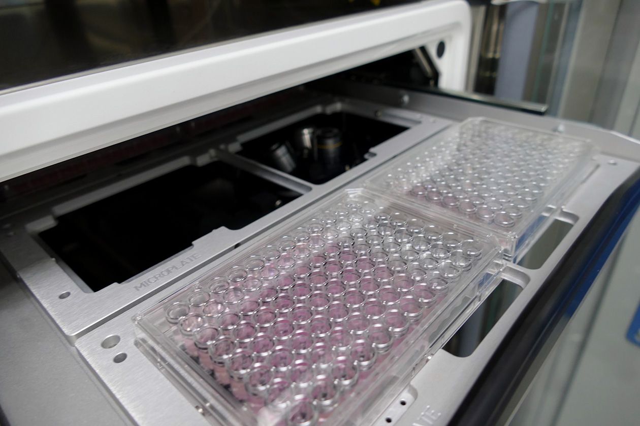 <hr>Appareil IncuCyte S3 d’imagerie cellulaire en temps réel muni d’une tourelle optique automatisée avec 3 objectifs (x4, x10, x20) autorisant une visualisation en contraste de phase comme en fluorescence.