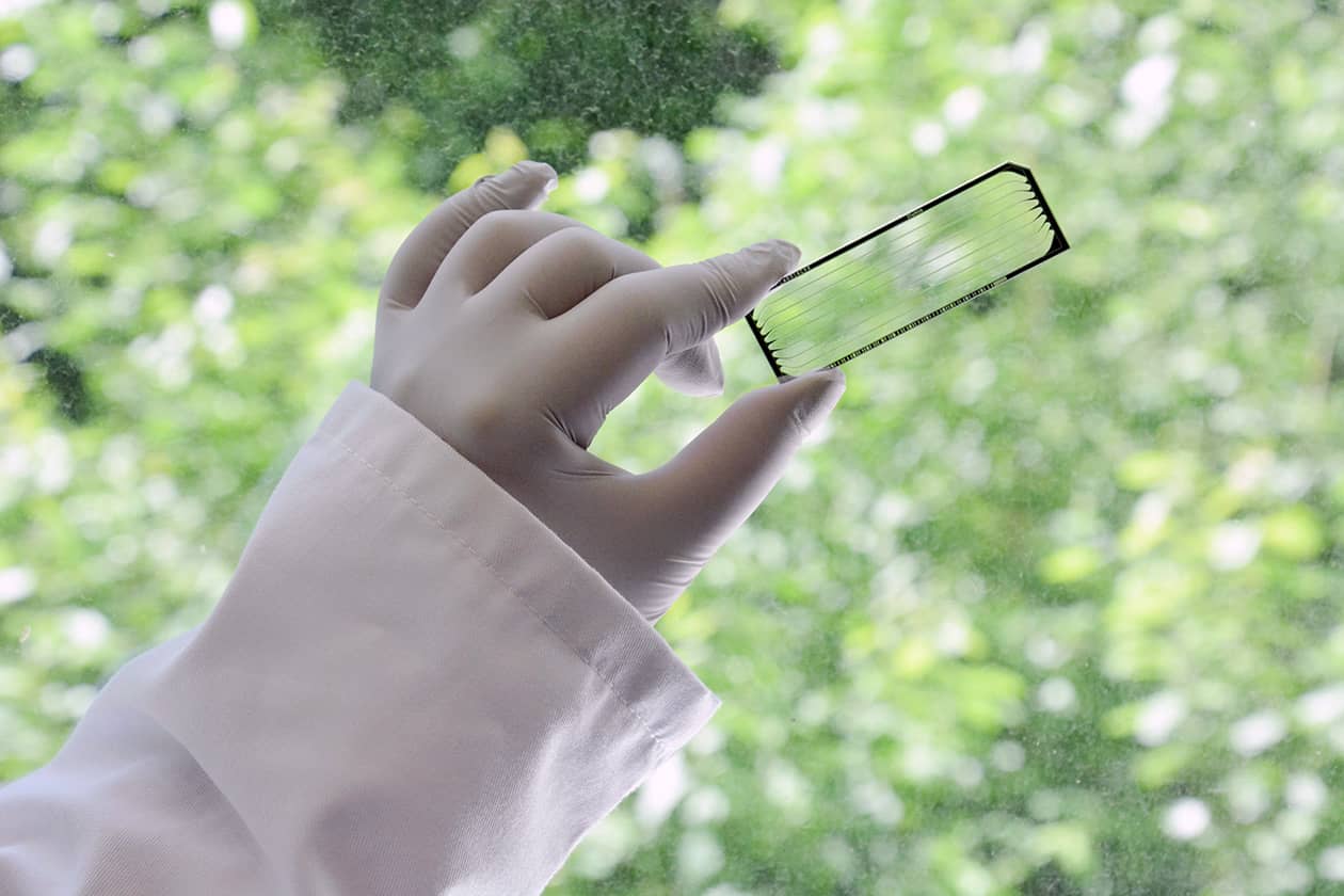 <hr>Cellule fluidique pour le séquençage Illumina.