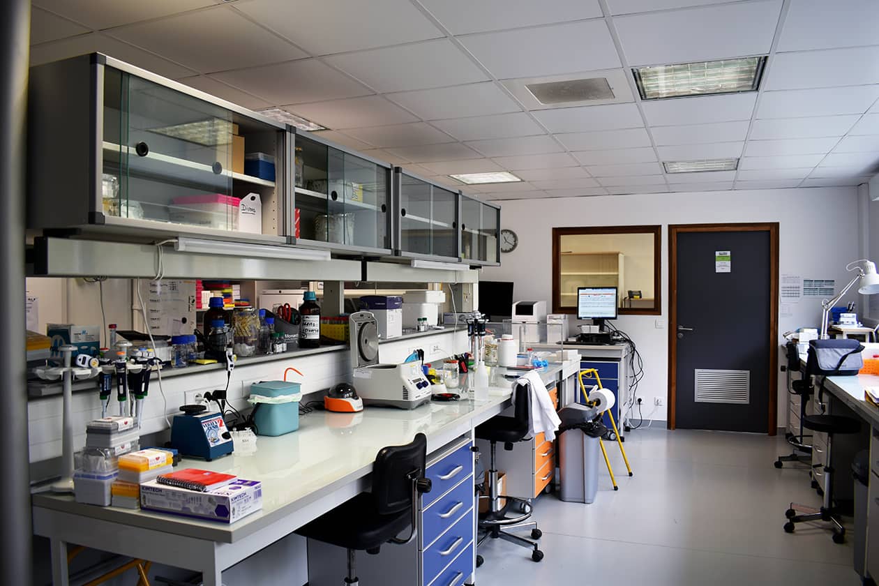 <hr>Laboratoire de la plateforme EpiRNA-Seq.