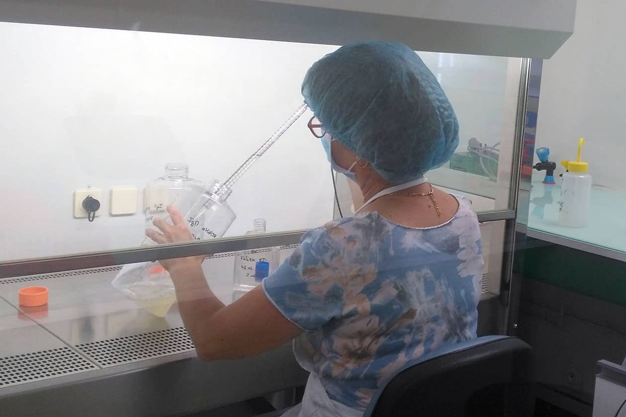 <hr>Infection de cellules d’insecte en roller par des baculovirus pour la production de protéines recombinantes.