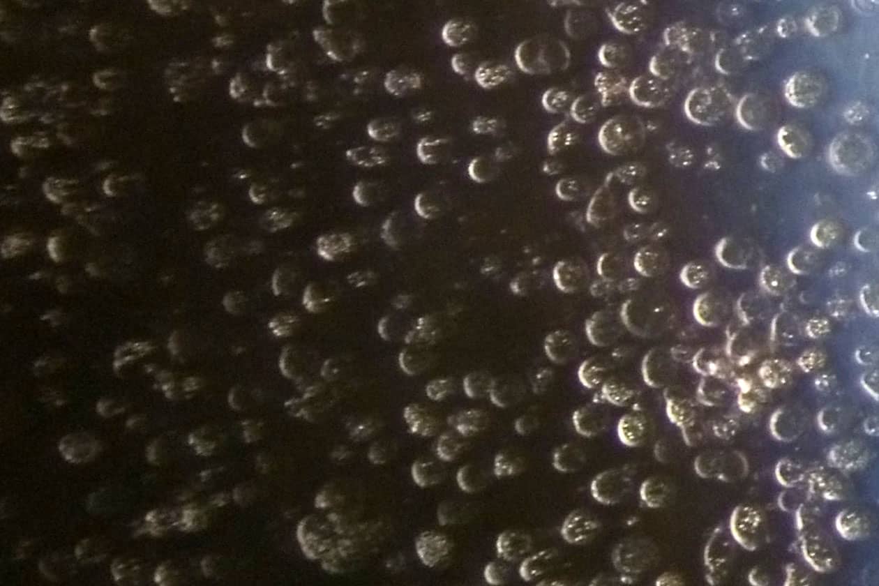 <hr>Purification par chromatographie sur colonne d’une protéine recombinante.
