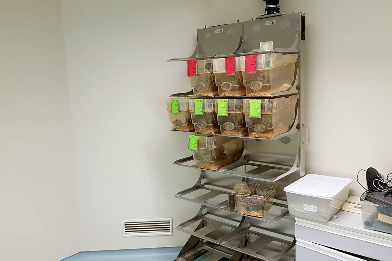 <hr>Portoir ventilé pour animaux.