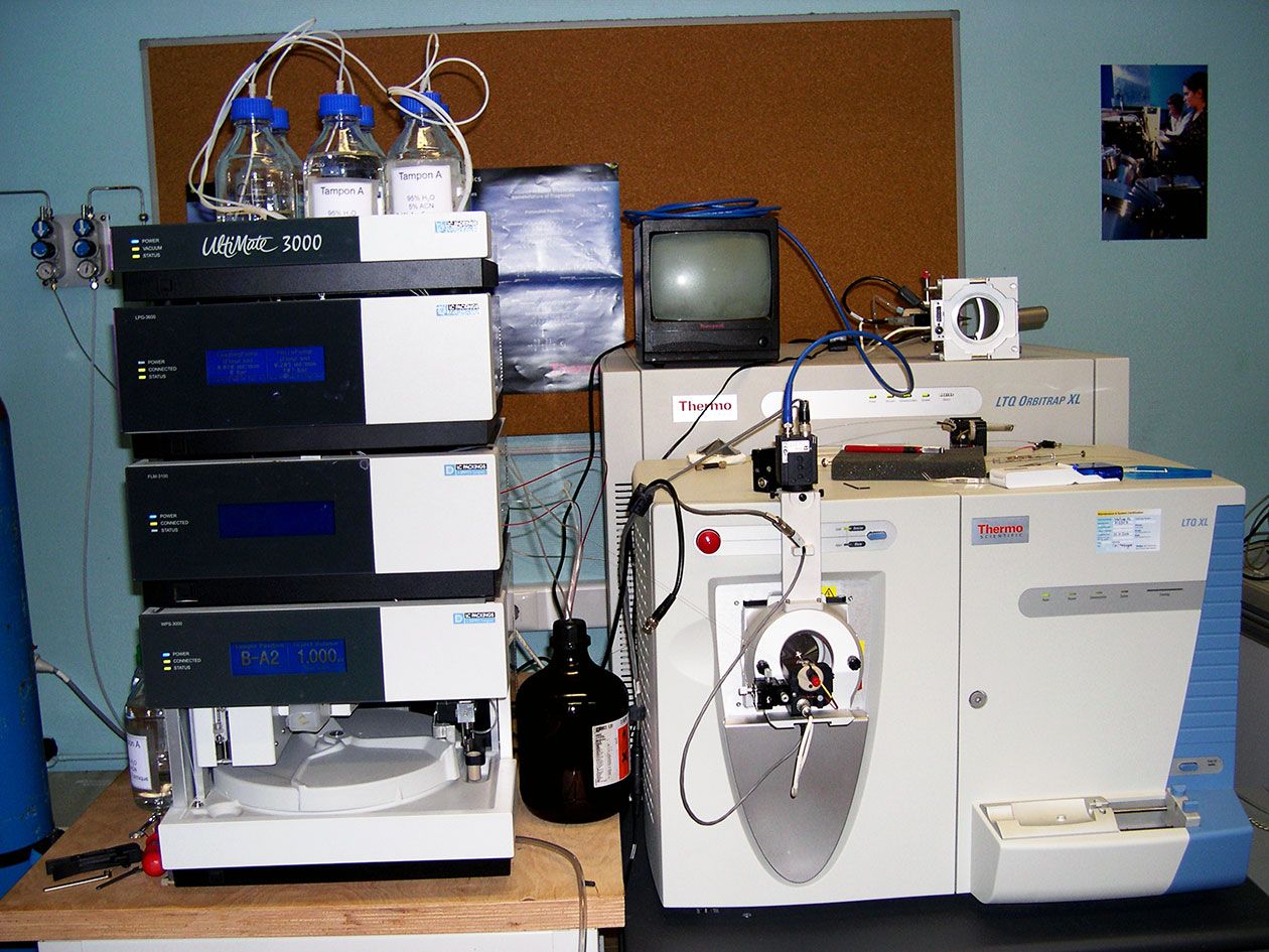 <hr>MicroLC couplée à un spectromètre de masse LTQ Orbitrap XL pour les analyses de plasma sanguin.