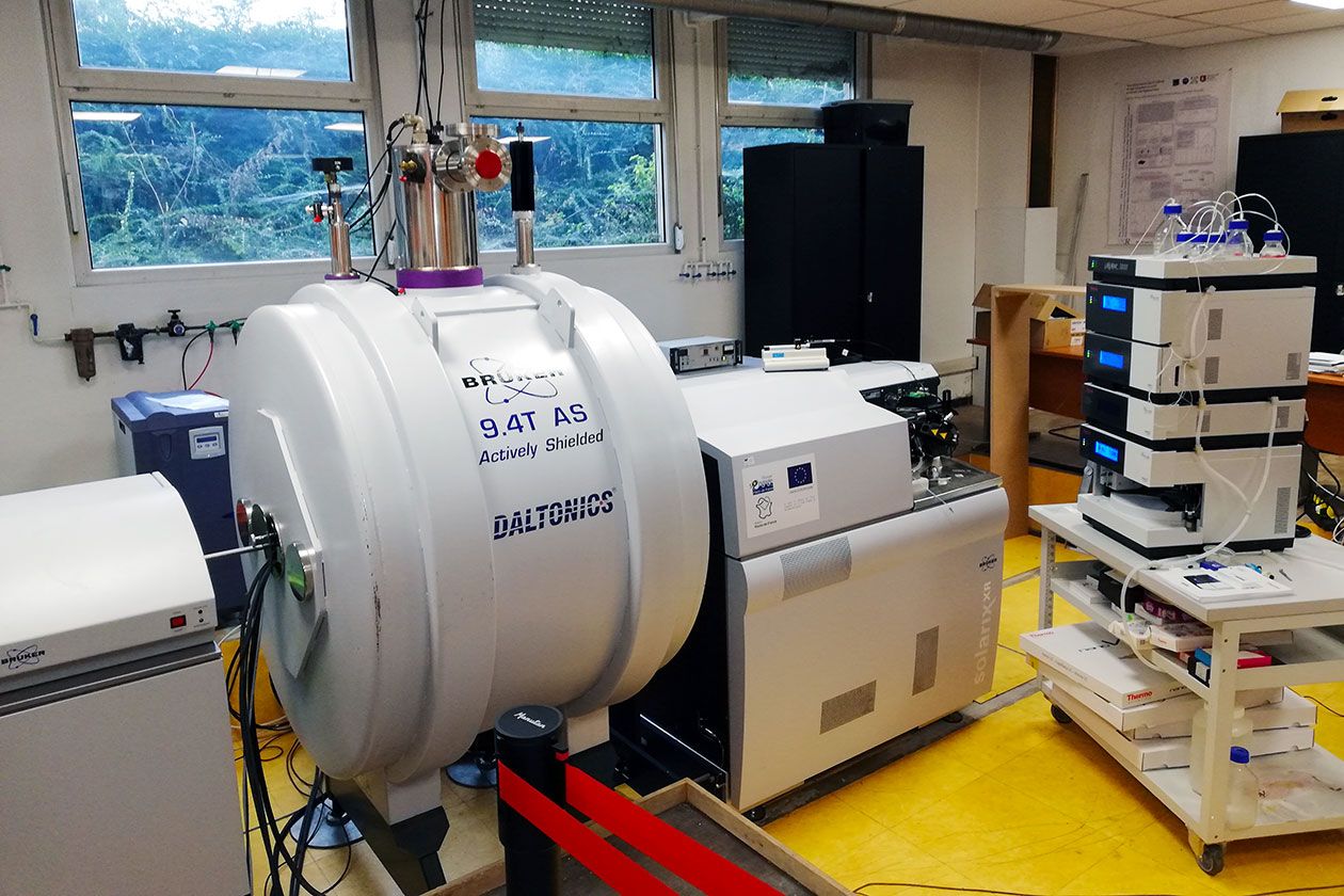 <hr>Spectromètre FT-ICR MS SolariX XR 9.4T pour les analyses de métabolomique en injection directe et de protéines intactes en top-down.