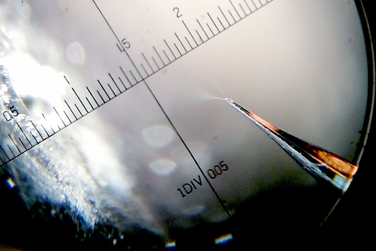 <hr>Nanospray lors de l’analyse en injection directe d’une protéine sur le spectromètre FT-ICR.