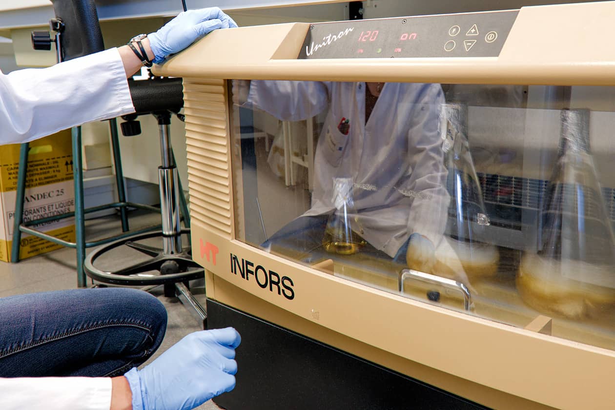 <hr>Incubateur bactérien (Infors). © Nantes Université, P2R.