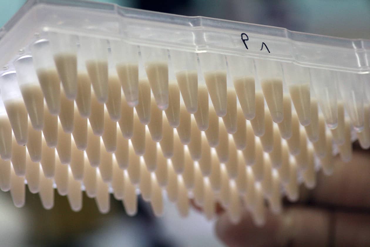<hr>Plaques de 96 puits d’émulsions pour la ePCR.