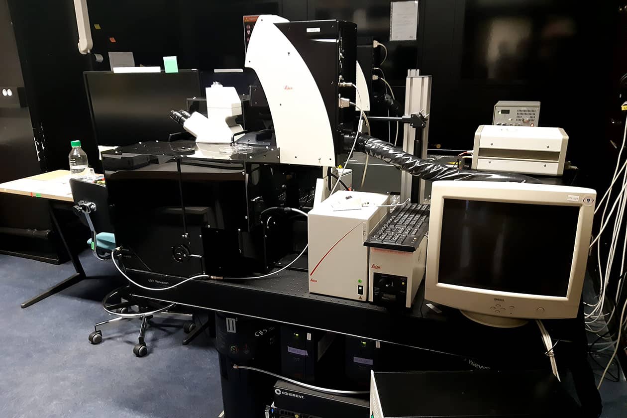 <hr>Microscope multiphoton Compact Supply SP8 Leica.