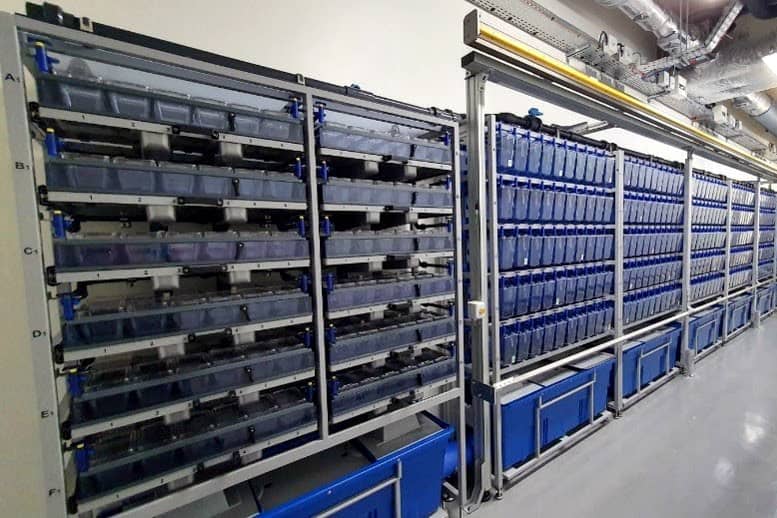 <hr>Salle d’hébergement de poissons zèbres dotée d’un système de nourrissage automatique.