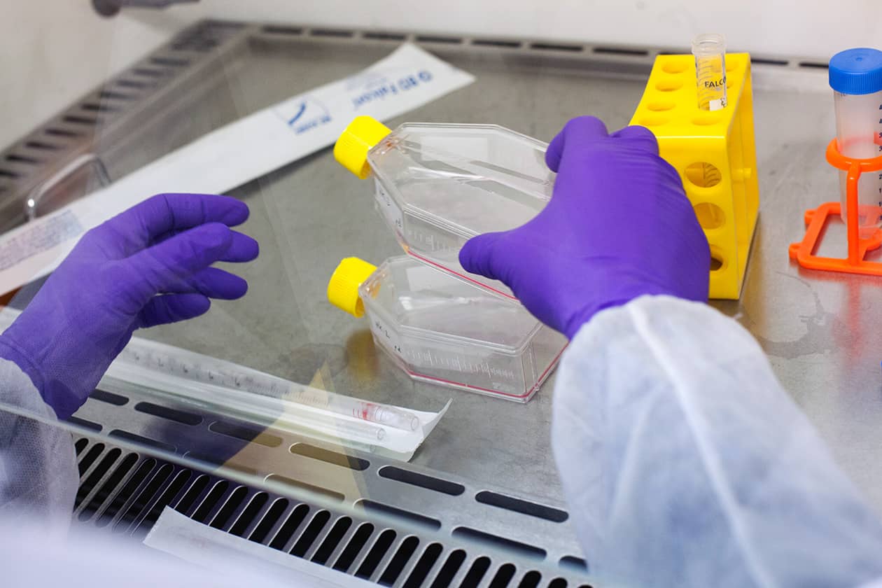 <hr>Laboratoire de culture cellulaire. © IRSN, F. Acerbis.