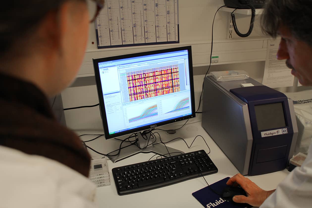 <hr>Visualisation des résultats d'une analyse de qPCR à haut débit.