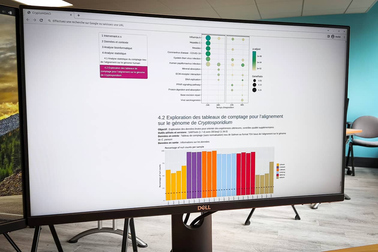 <hr>Rapport d’analyse généré par Bilille pour un projet d’analyse transcriptomique menée sur le parasite Cryptosporidium parvum.
